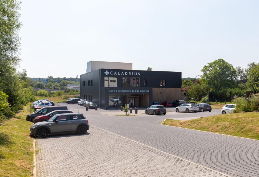 Caladrius : projet de helium3, bureau d'architecture à Liège